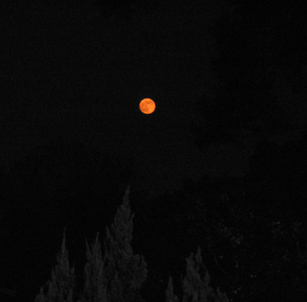 Fullest moon of the year... and red too!