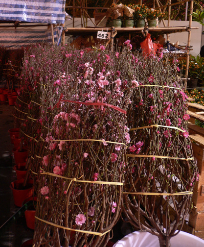Bundles of flower trees