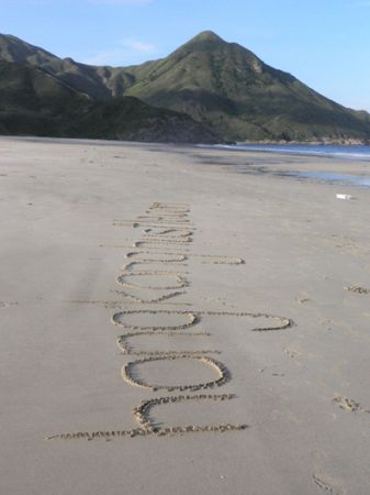 Beach Party Writing2