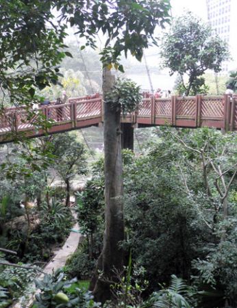 HK aviary Hong Kong park