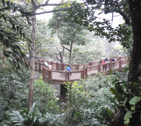 Hong Kong Aviary birds HK