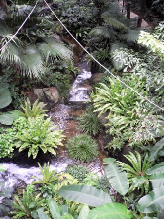 Hong Kong park aviary HK