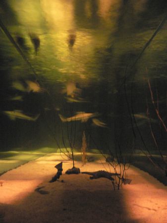 M1NT shark tank