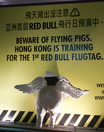 Red Bull Flugtag Hong Kong HK