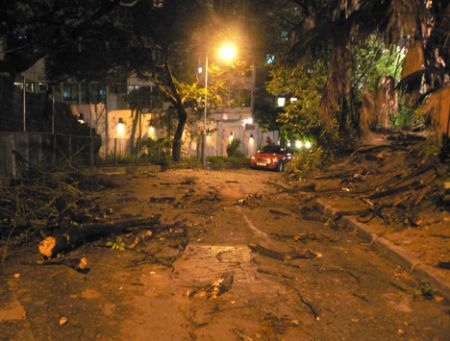 Typhoon fallen branches2