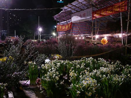 flower market chinese new year HK