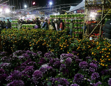 flower market hong kong HK 3