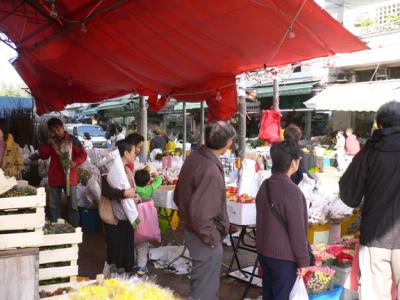 Turn up the street here to get to Flower Market Road